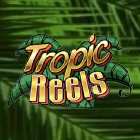 RTP 99.00% – Tropic Reels 온라인 카지노 잭팟 슬롯