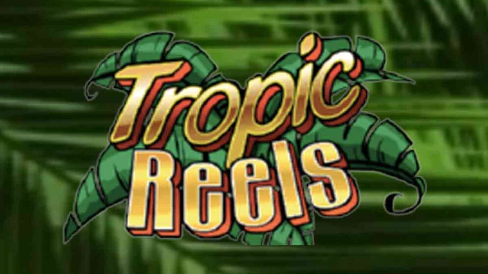 RTP 99.00% – Tropic Reels 온라인 카지노 잭팟 슬롯