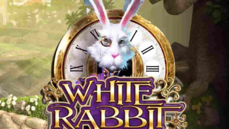 RTP 97.78% – White Rabbit Megaways 온라인 카지노 잭팟 슬롯