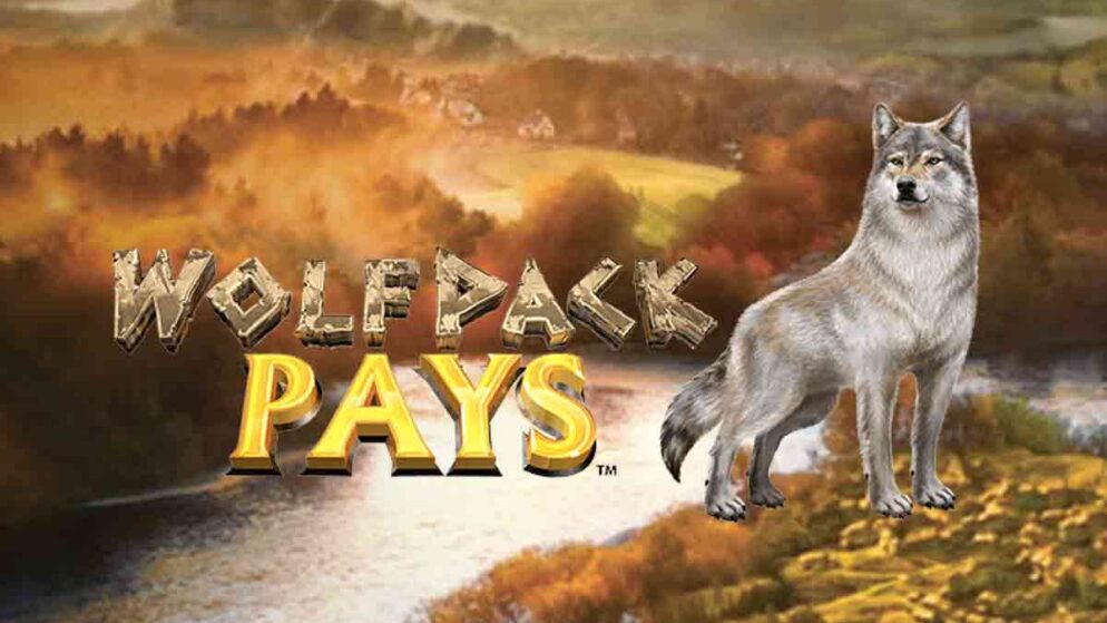 RTP 97.50% – Wolfpack Pays 온라인 카지노 잭팟 슬롯