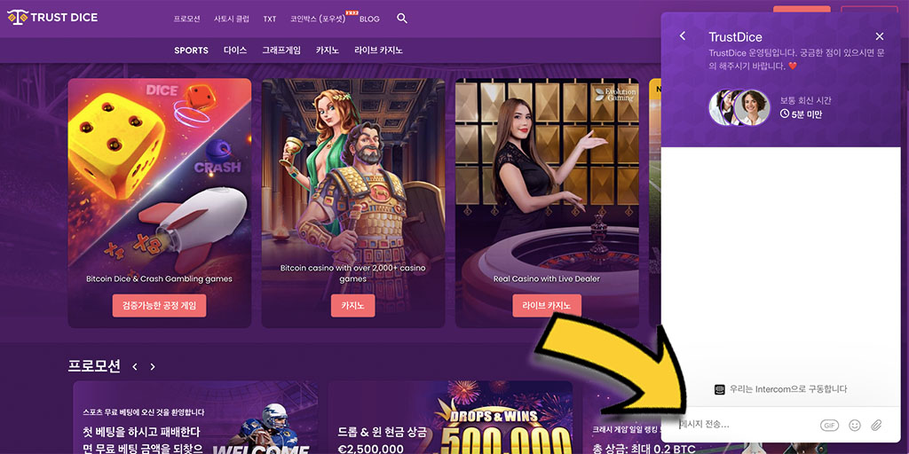 트러스트 다이스 카지노 (TrustDice Casino) 고객 지원