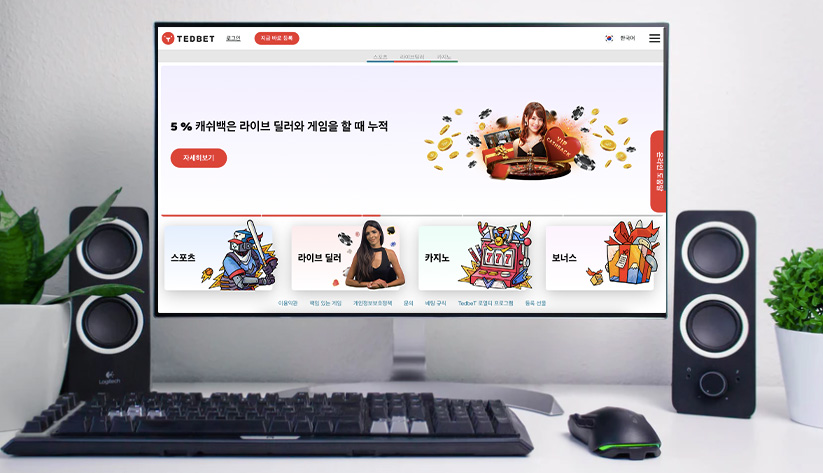 TedBet Casino 테드벳 카지노